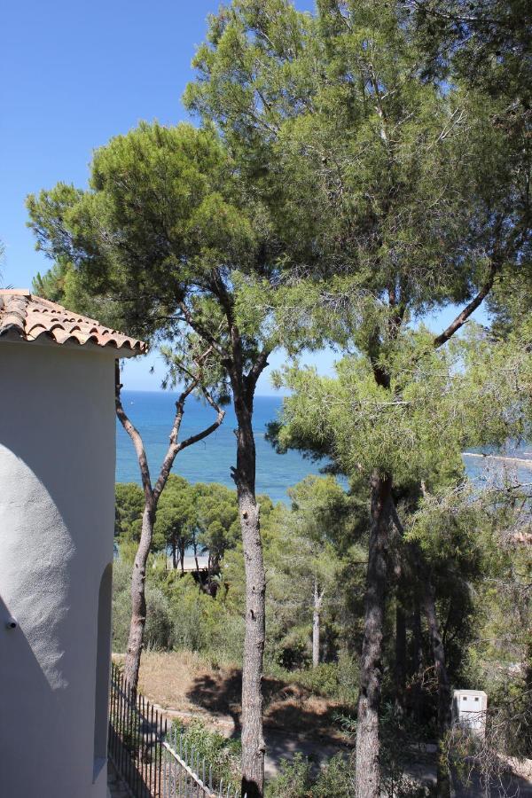 El Nido Dénia